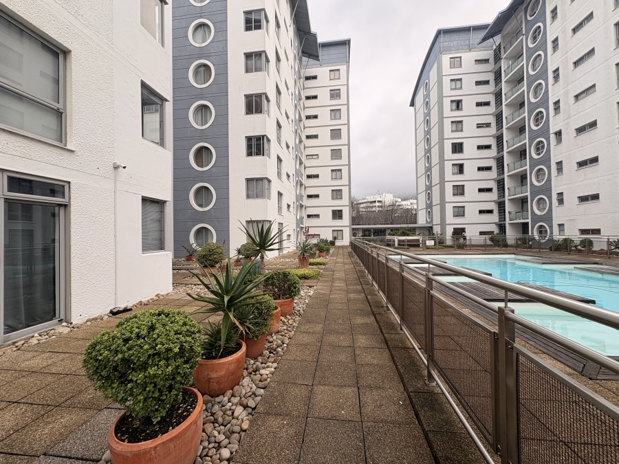 To Let 0 Bedroom Property for Rent in Claremont Upper Western Cape